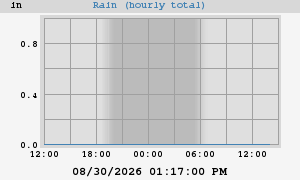 rain