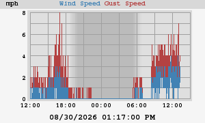 wind
