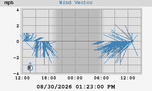 Wind Vector